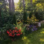 Slowicze Gniazdo Kopalino