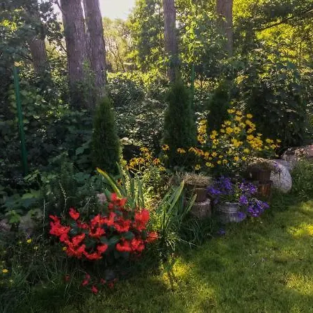 Slowicze Gniazdo Kopalino